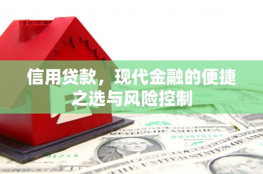 左镇信用贷款，现代金融的便捷之选与风险控制