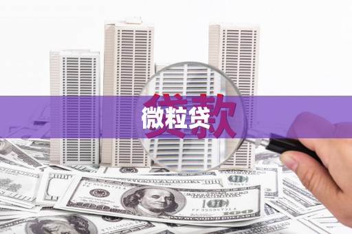 左镇微粒贷