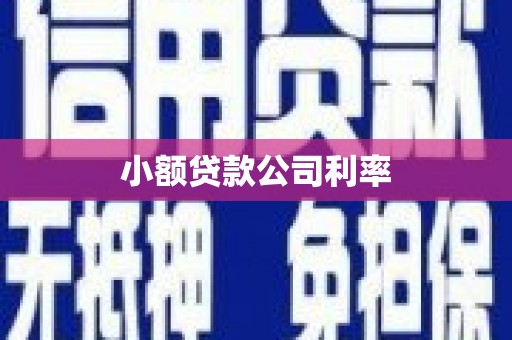 左镇小额贷款公司利率