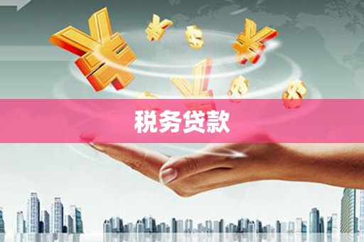 左镇税务贷款