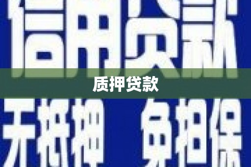 左镇质押贷款