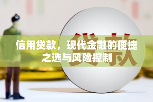 左镇信用贷款，现代金融的便捷之选与风险控制