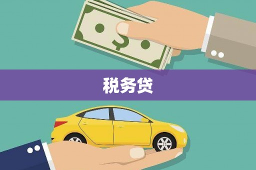左镇税务贷