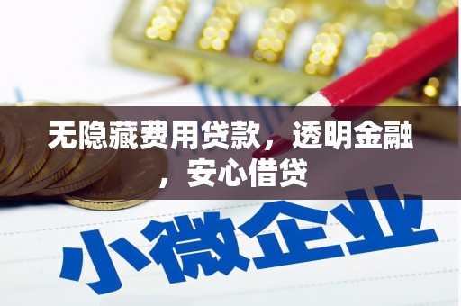左镇无隐藏费用贷款，透明金融，安心借贷
