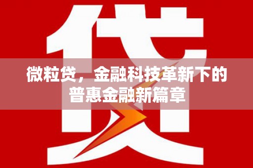 左镇微粒贷，金融科技革新下的普惠金融新篇章