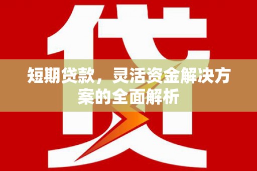 左镇短期贷款，灵活资金解决方案的全面解析