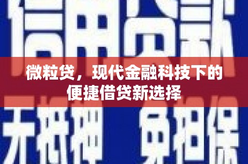 左镇微粒贷，现代金融科技下的便捷借贷新选择