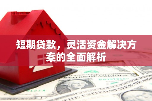 左镇短期贷款，灵活资金解决方案的全面解析