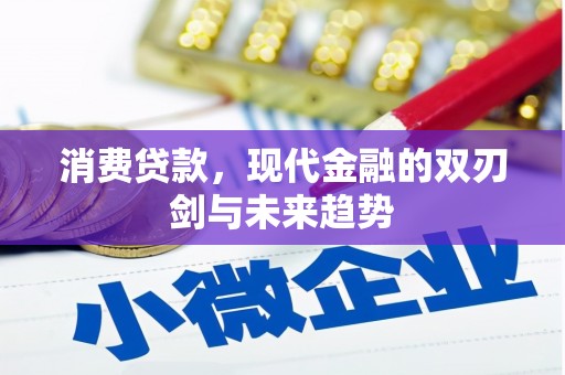 左镇消费贷款，现代金融的双刃剑与未来趋势