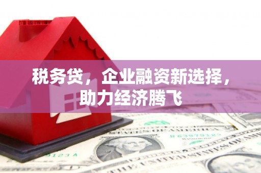 左镇税务贷，企业融资新选择，助力经济腾飞