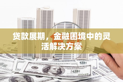 左镇贷款展期，金融困境中的灵活解决方案