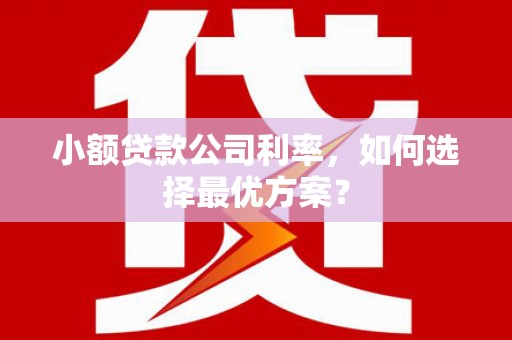 左镇小额贷款公司利率，如何选择最优方案？