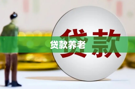 左镇贷款养老