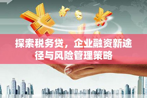 左镇探索税务贷，企业融资新途径与风险管理策略