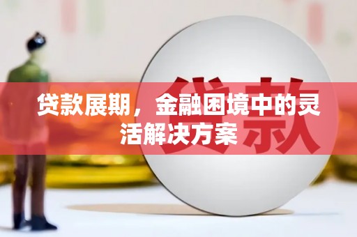 左镇贷款展期，金融困境中的灵活解决方案