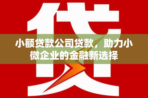 左镇小额贷款公司贷款，助力小微企业的金融新选择