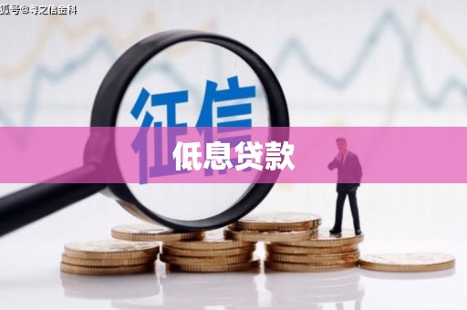 左镇低息贷款