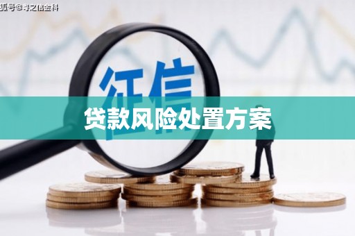 左镇贷款风险处置方案