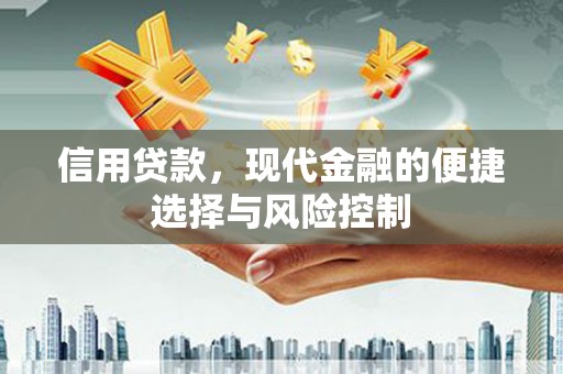 左镇信用贷款，现代金融的便捷选择与风险控制