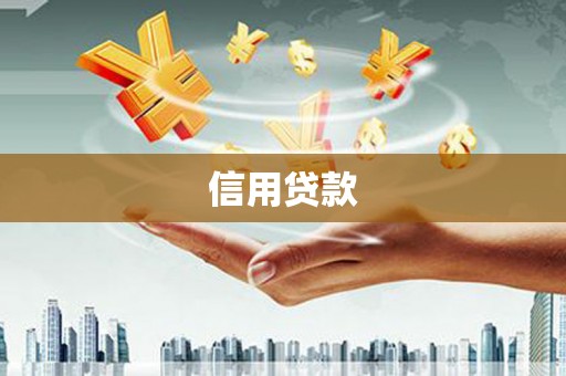 左镇信用贷款