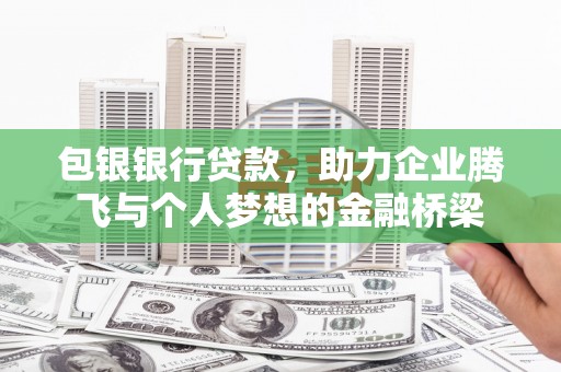 左镇包银银行贷款，助力企业腾飞与个人梦想的金融桥梁