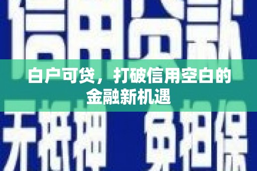 左镇白户可贷，打破信用空白的金融新机遇