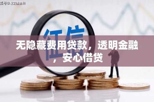 左镇无隐藏费用贷款，透明金融，安心借贷