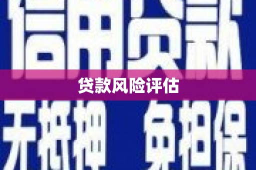 左镇贷款风险评估