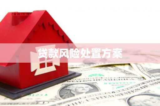 左镇贷款风险处置方案