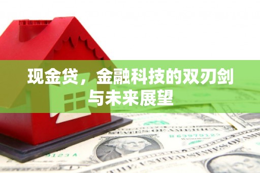 左镇现金贷，金融科技的双刃剑与未来展望