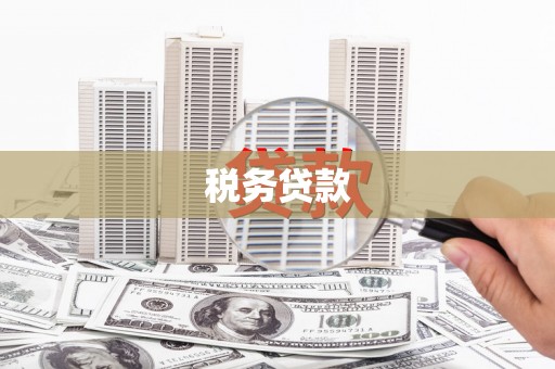 左镇税务贷款