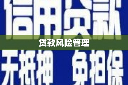左镇贷款风险管理
