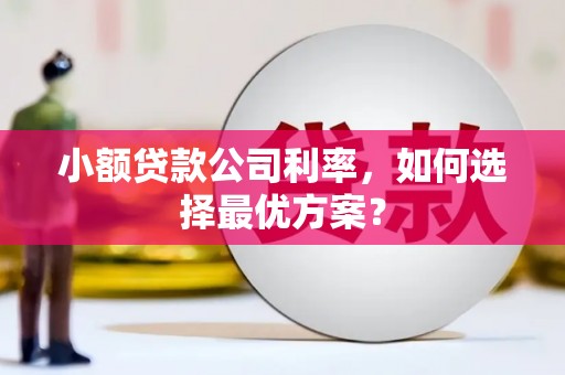 左镇小额贷款公司利率，如何选择最优方案？