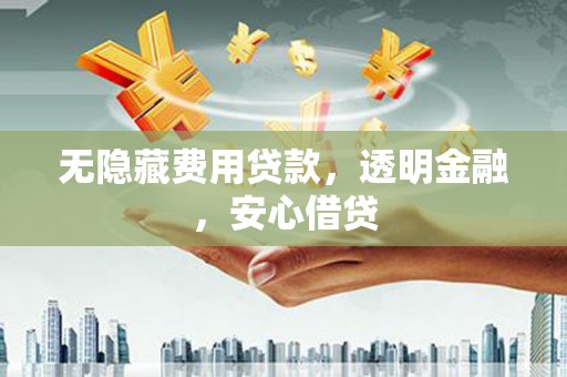 左镇无隐藏费用贷款，透明金融，安心借贷
