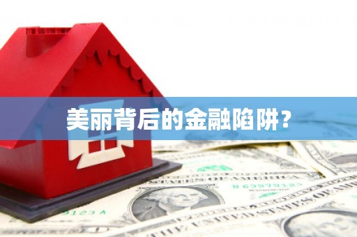 左镇美丽背后的金融陷阱？