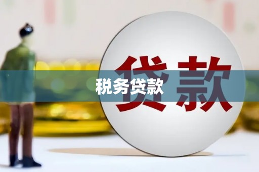 左镇税务贷款