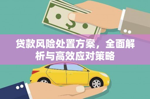 左镇贷款风险处置方案，全面解析与高效应对策略