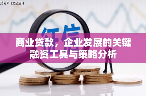 左镇商业贷款，企业发展的关键融资工具与策略分析