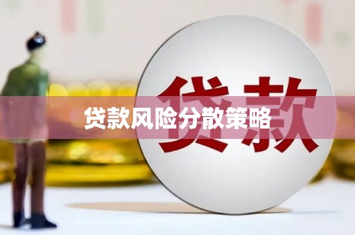 左镇贷款风险分散策略