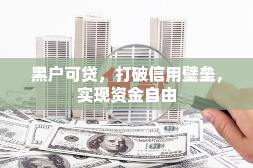 左镇黑户可贷，打破信用壁垒，实现资金自由