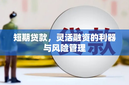 左镇短期贷款，灵活融资的利器与风险管理