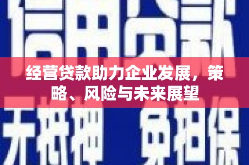 左镇经营贷款助力企业发展，策略、风险与未来展望
