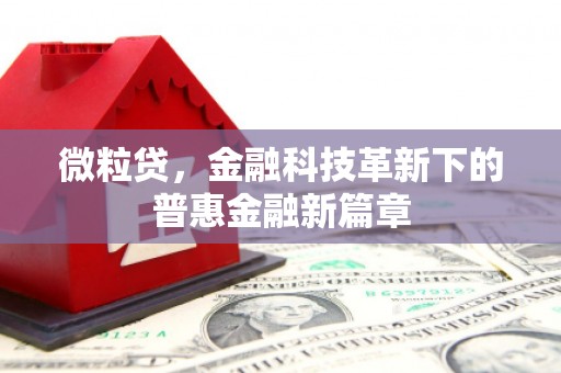 左镇微粒贷，金融科技革新下的普惠金融新篇章
