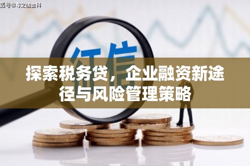 左镇探索税务贷，企业融资新途径与风险管理策略