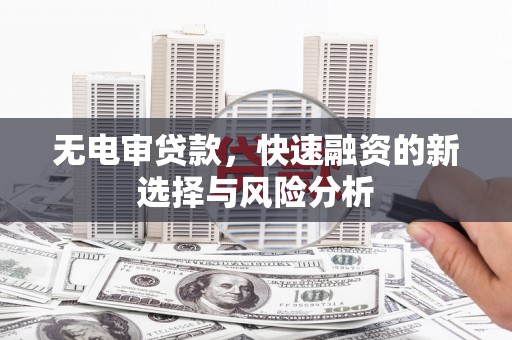 左镇无电审贷款，快速融资的新选择与风险分析