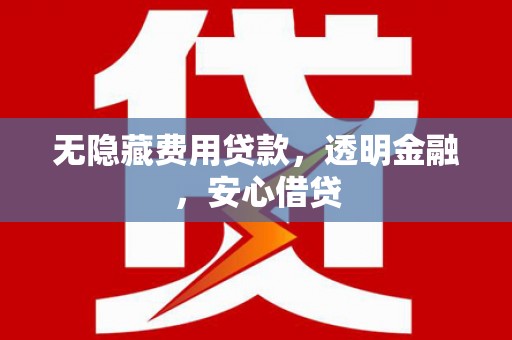 左镇无隐藏费用贷款，透明金融，安心借贷