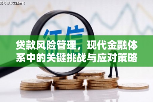 左镇贷款风险管理，现代金融体系中的关键挑战与应对策略