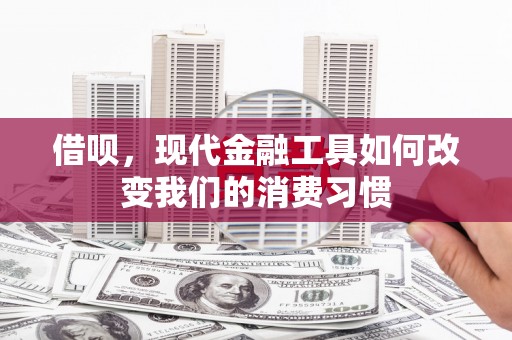 左镇借呗，现代金融工具如何改变我们的消费习惯