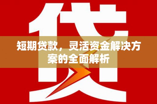 左镇短期贷款，灵活资金解决方案的全面解析