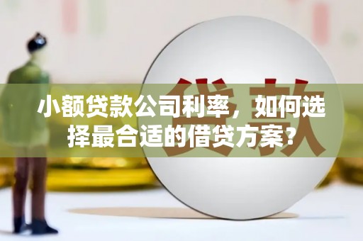 左镇小额贷款公司利率，如何选择最合适的借贷方案？